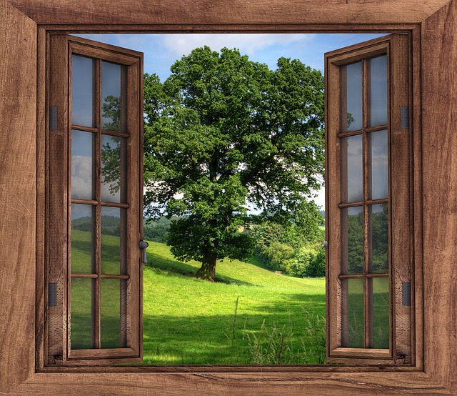 lesena okna cena